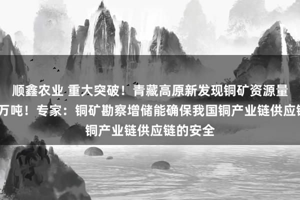 顺鑫农业 重大突破！青藏高原新发现铜矿资源量2000余万吨！专家：铜矿勘察增储能确保我国铜产业链供应链的安全
