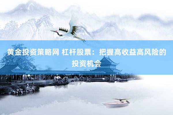 黄金投资策略网 杠杆股票：把握高收益高风险的投资机会