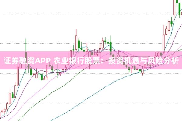 证券融资APP 农业银行股票：投资机遇与风险分析