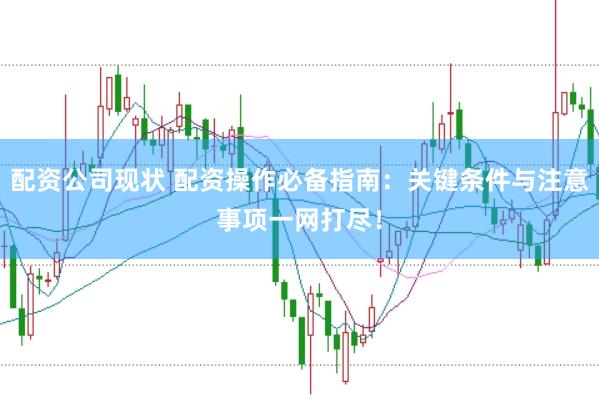 配资公司现状 配资操作必备指南：关键条件与注意事项一网打尽！