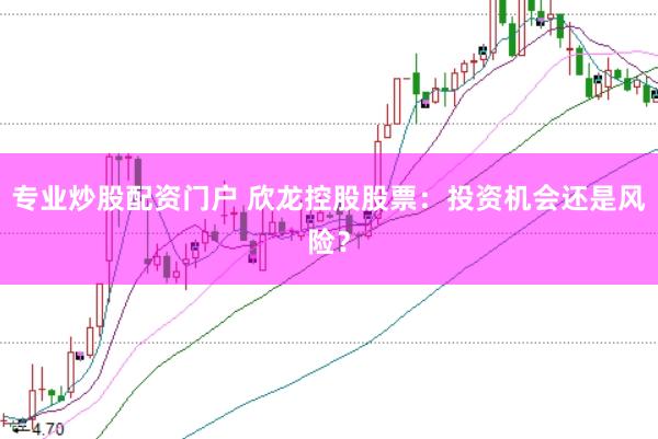 专业炒股配资门户 欣龙控股股票：投资机会还是风险？