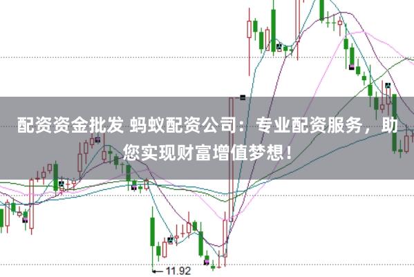 配资资金批发 蚂蚁配资公司：专业配资服务，助您实现财富增值梦想！