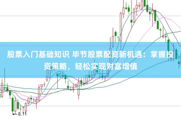 股票入门基础知识 毕节股票配资新机遇：掌握投资策略，轻松实现财富增值