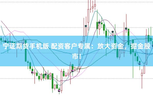 宁证期货手机版 配资客户专属：放大资金，掘金股市！