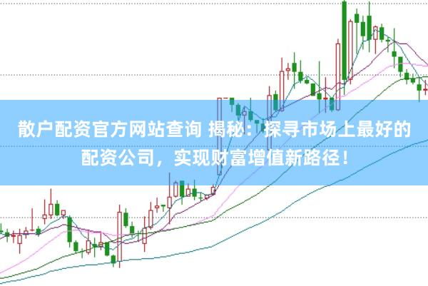 散户配资官方网站查询 揭秘：探寻市场上最好的配资公司，实现财富增值新路径！