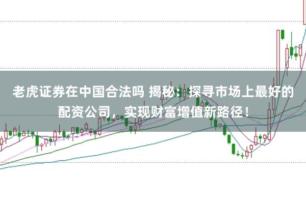 老虎证券在中国合法吗 揭秘：探寻市场上最好的配资公司，实现财富增值新路径！