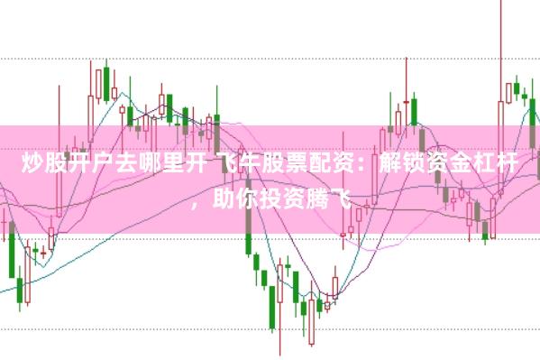 炒股开户去哪里开 飞牛股票配资：解锁资金杠杆，助你投资腾飞