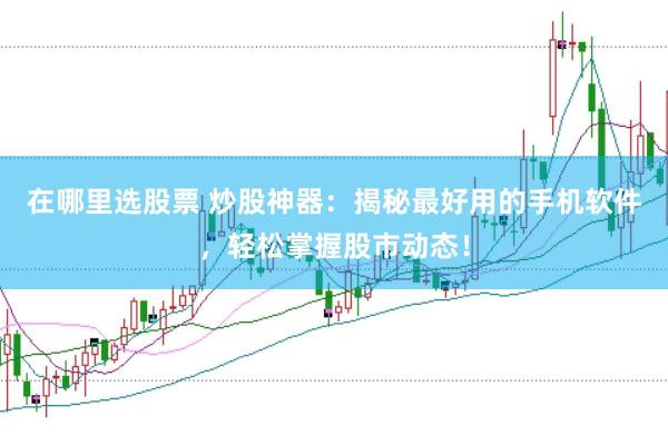 在哪里选股票 炒股神器：揭秘最好用的手机软件，轻松掌握股市动态！