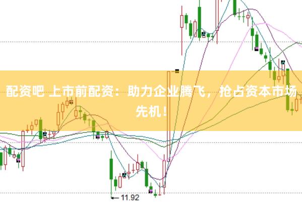 配资吧 上市前配资：助力企业腾飞，抢占资本市场先机！