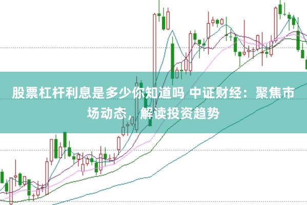 股票杠杆利息是多少你知道吗 中证财经：聚焦市场动态，解读投资趋势