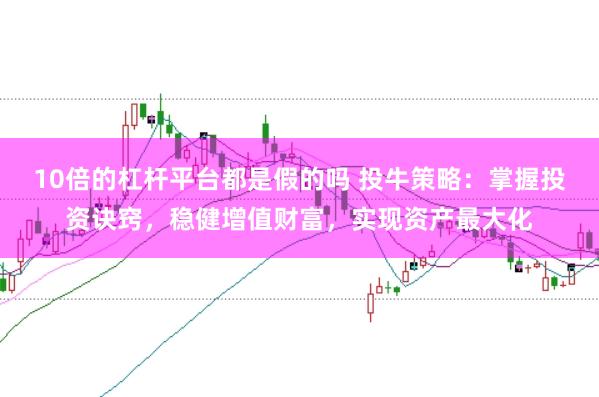 10倍的杠杆平台都是假的吗 投牛策略：掌握投资诀窍，稳健增值财富，实现资产最大化