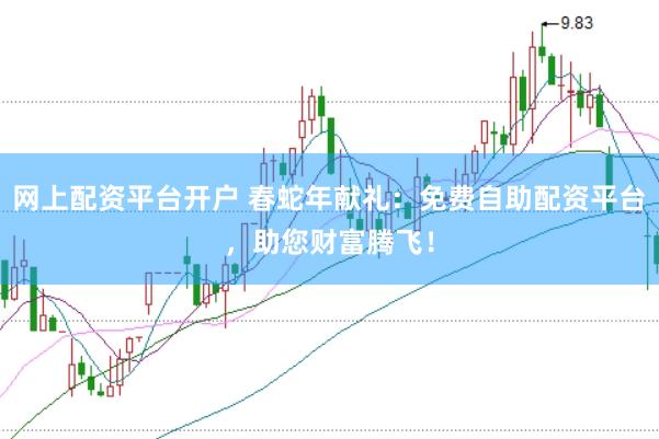 网上配资平台开户 春蛇年献礼：免费自助配资平台，助您财富腾飞！