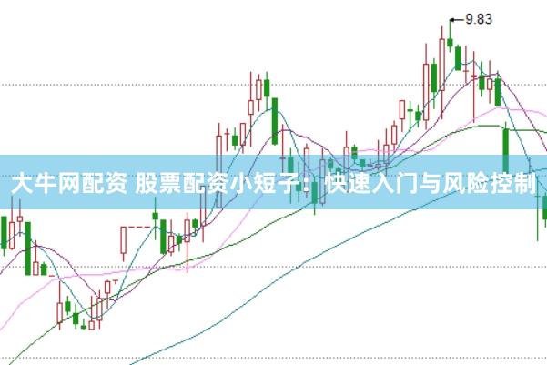 大牛网配资 股票配资小短子：快速入门与风险控制