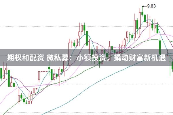 期权和配资 微私募：小额投资，撬动财富新机遇
