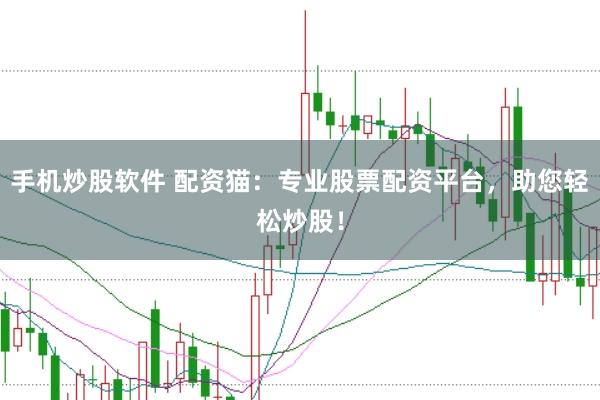 手机炒股软件 配资猫：专业股票配资平台，助您轻松炒股！