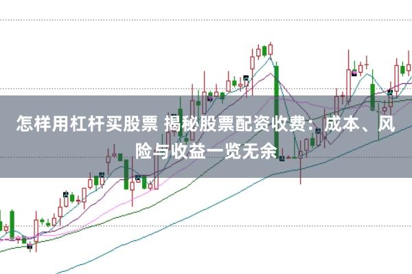 怎样用杠杆买股票 揭秘股票配资收费：成本、风险与收益一览无余