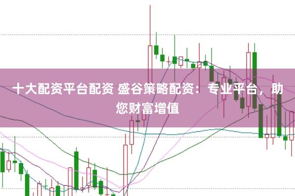 十大配资平台配资 盛谷策略配资：专业平台，助您财富增值