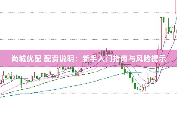 尚城优配 配资说明：新手入门指南与风险提示