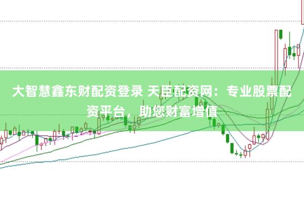 大智慧鑫东财配资登录 天臣配资网：专业股票配资平台，助您财富增值