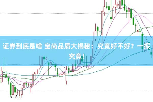 证券到底是啥 宝尚品质大揭秘：究竟好不好？一探究竟！