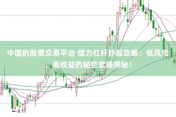 中国的股票交易平台 借力杠杆炒股攻略：低风险、高收益的秘密武器揭秘！