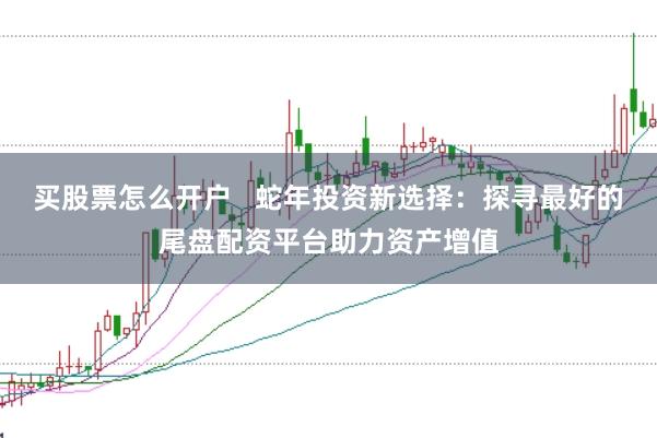 买股票怎么开户   蛇年投资新选择：探寻最好的尾盘配资平台助力资产增值