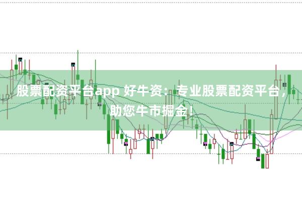 股票配资平台app 好牛资：专业股票配资平台，助您牛市掘金！