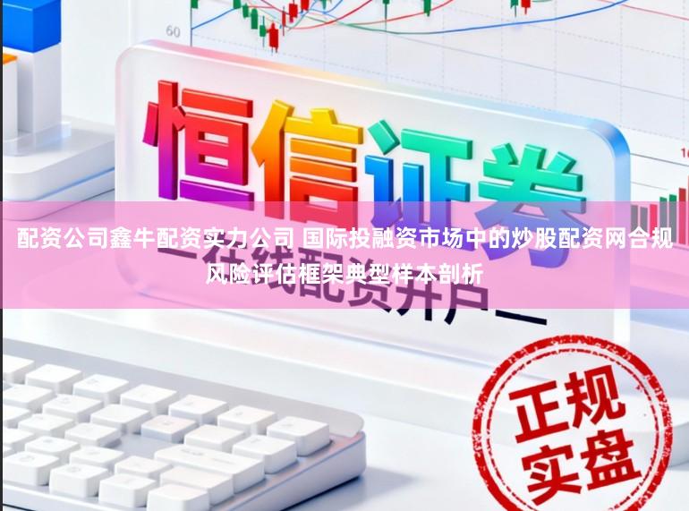 配资公司鑫牛配资实力公司 国际投融资市场中的炒股配资网合规风险评估框架典型样本剖析